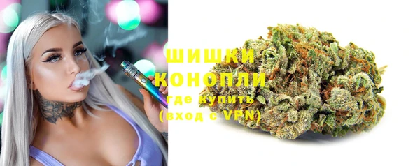 ГАЛЛЮЦИНОГЕННЫЕ ГРИБЫ Балахна