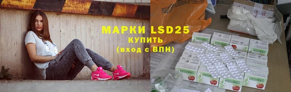 ГАЛЛЮЦИНОГЕННЫЕ ГРИБЫ Балахна