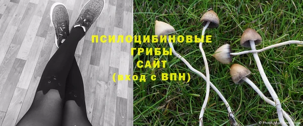 ГАЛЛЮЦИНОГЕННЫЕ ГРИБЫ Балахна