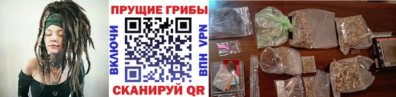 мориарти наркотические препараты  Белогорск  Галлюциногенные грибы Psilocybe 
